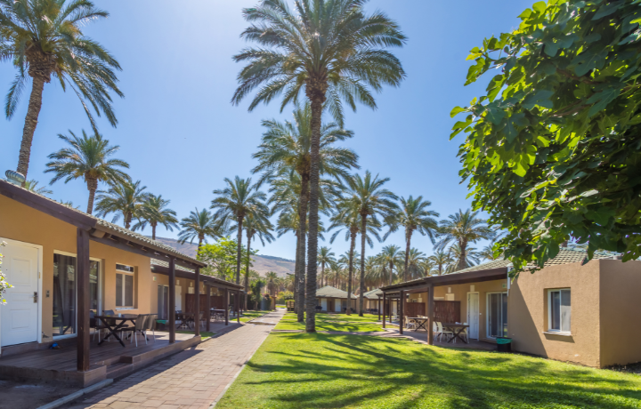 מקדימים להזמין 50% הנחה על מוצש וילד חינם