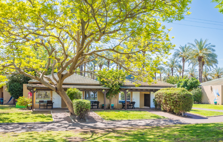 מקדימים להזמין 25% הנחה וילד חינם