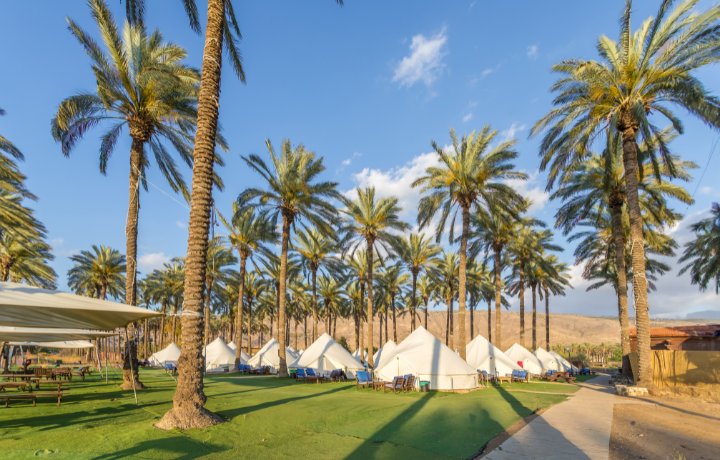 מקדימים להזמין אמצש בגלאמפינג - 575 שח ללילה