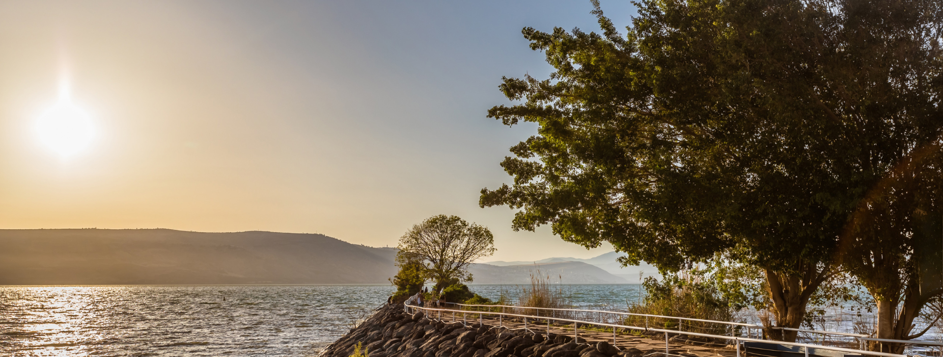 כפר הנופש דריה - מבצעים לאזרחים ותיקים