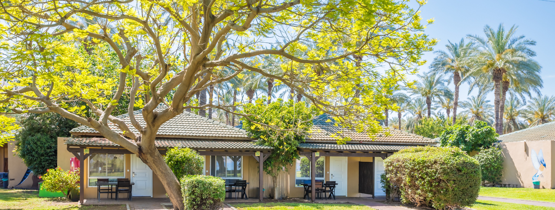 מבצעים בכנרת - כפר נופש דריה